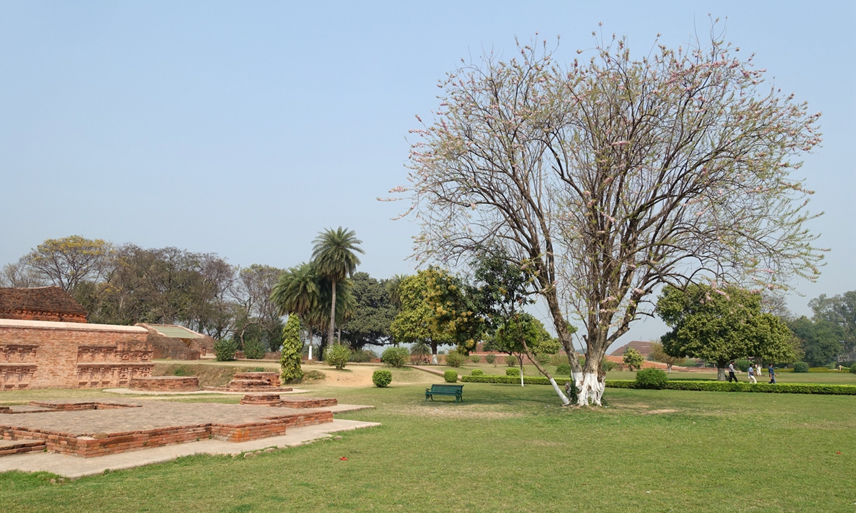 王舍城 Rajgir 那爛陀大學 Nalanda University